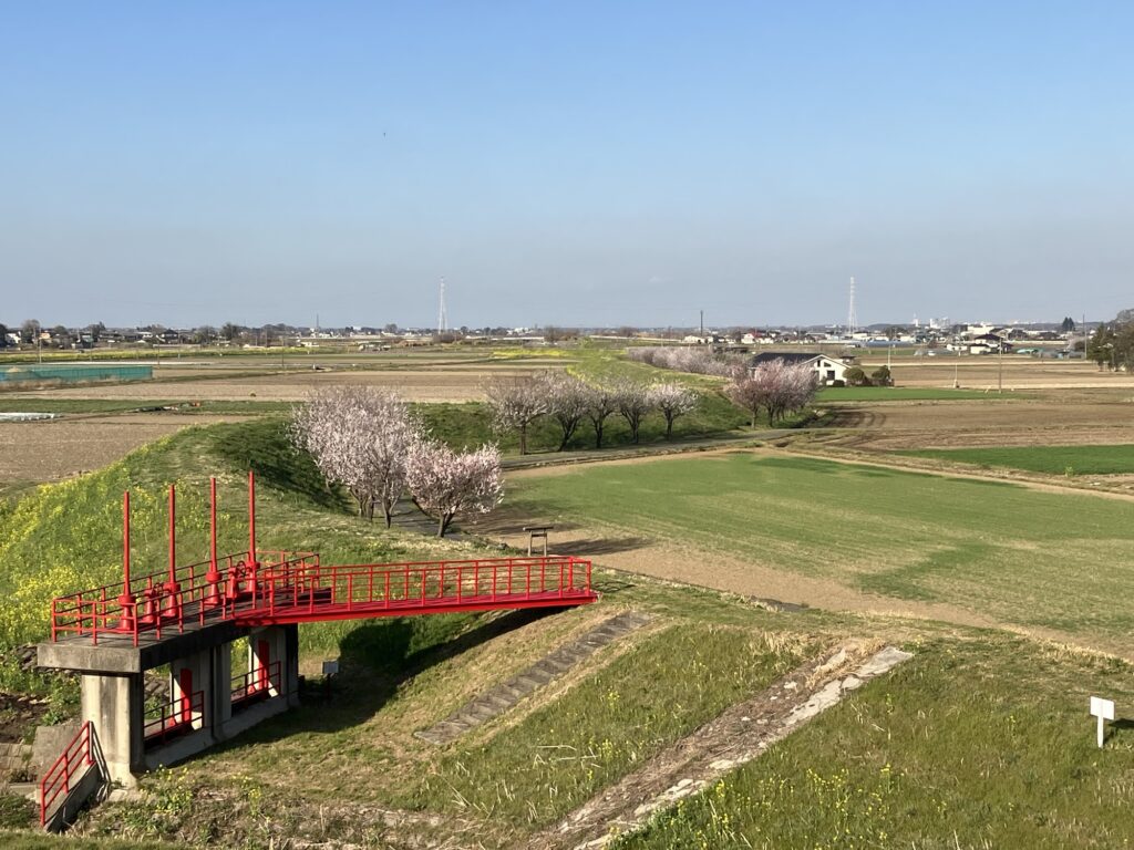渡良瀬遊水地。