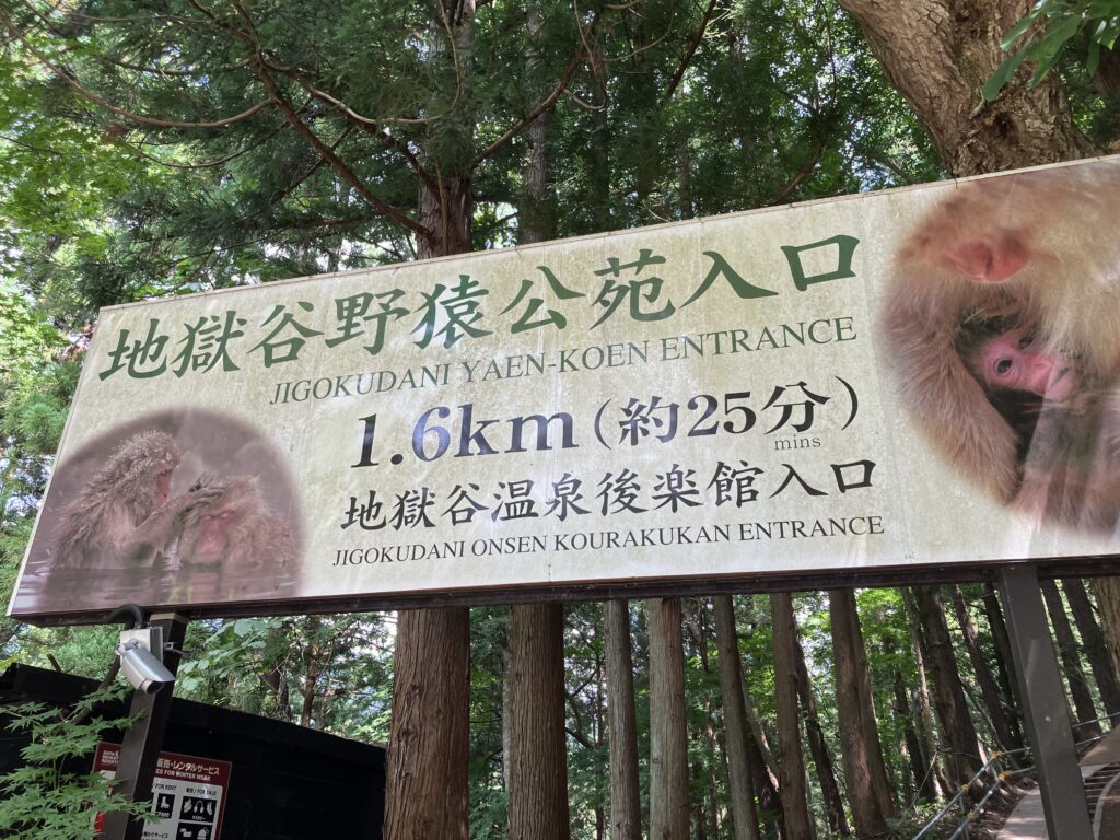 地獄谷野猿公苑