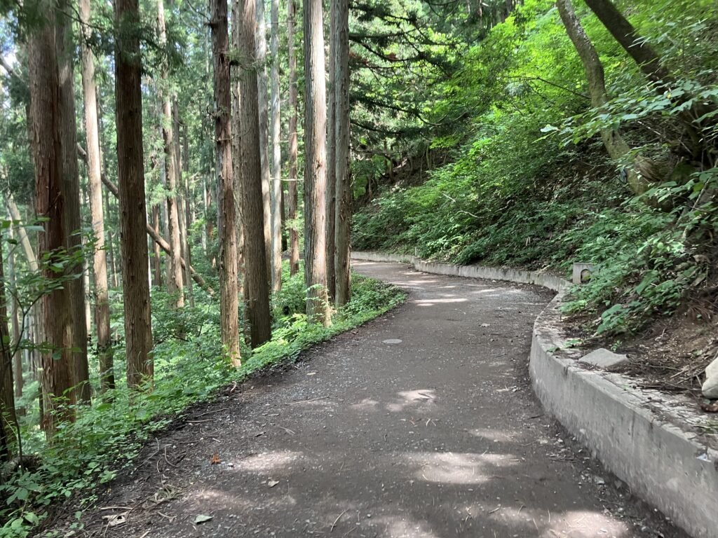 地獄谷野猿公苑の山道